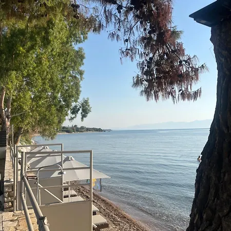 Onde Blu Lägenhet Chrani